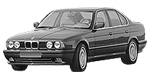 BMW E34 C2009 Fault Code